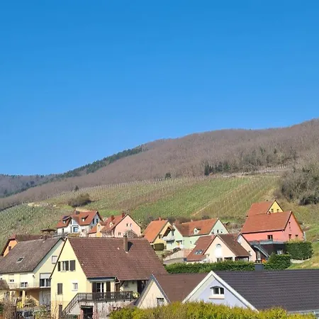 Et D'hotes Les Framboises Bed & Breakfast Katzenthal