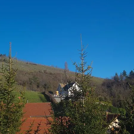 Et D'hotes Les Framboises Bed & Breakfast Katzenthal