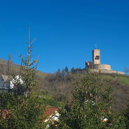 Bed & Breakfast Et D'hotes Les Framboises