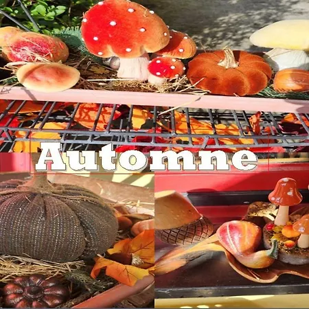 Et D'hotes Les Framboises 3* Katzenthal