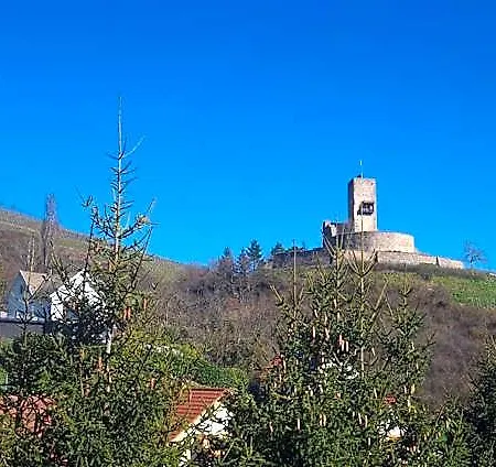 Et D'hotes Les Framboises Bed & Breakfast Katzenthal