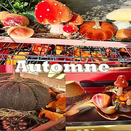Bed & Breakfast Et D'hotes Les Framboises 3*